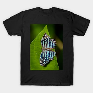 Striped Butterfly on a Leaf T-Shirt